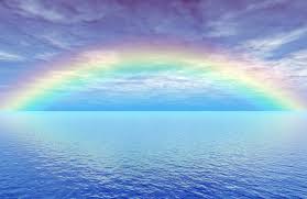 安博.体育app下载