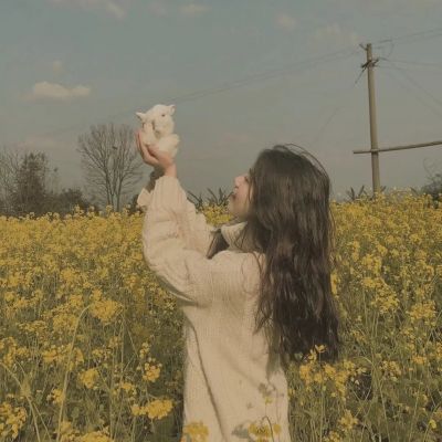 ManBetX网页版登录页面