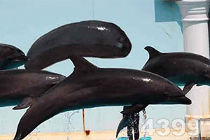 亿博体育APP截图