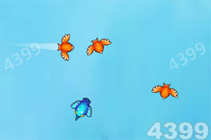 BSportAPP在线登录