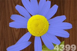 半岛官方APP入口手机app下载