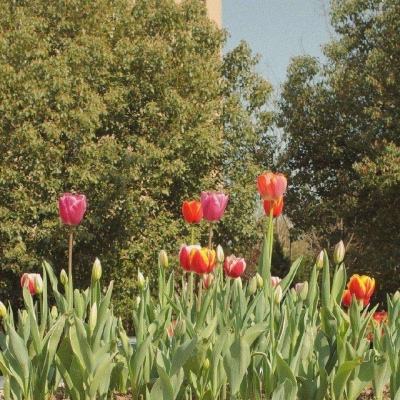 8188www威尼斯app下载