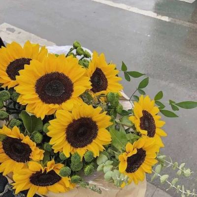 爱体育官方appapp下载