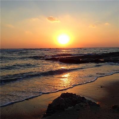 hth·华体育官方入口