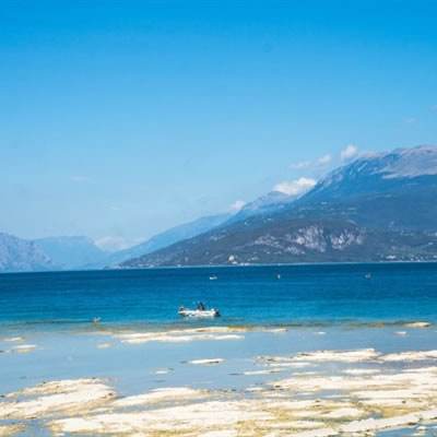 江南娱乐登录注册