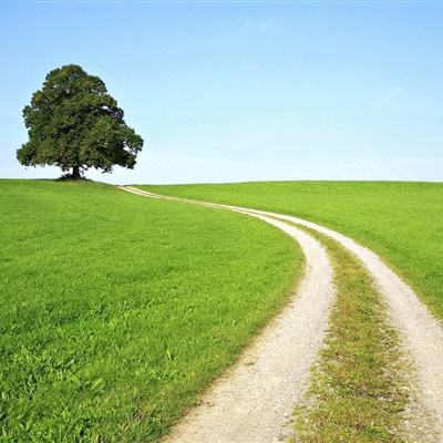 大发彩票www官方网址版