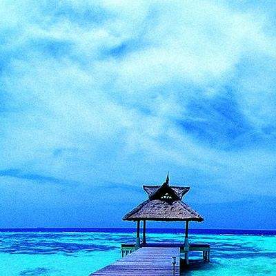 金年会体育APP下载