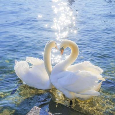 半岛官方下载入口