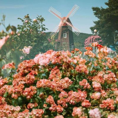 幸运彩票下载app截图