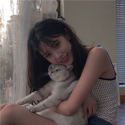 汇彩网登录大厅