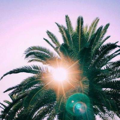 BOB体育综合官方APP下载8