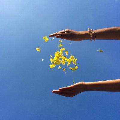 香港今晚六给彩开奖结果下载手机版