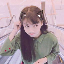 ld乐动体育·中国登录入口