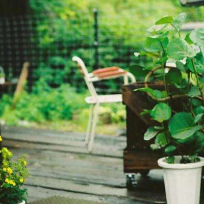 澳门王中王100%的资料