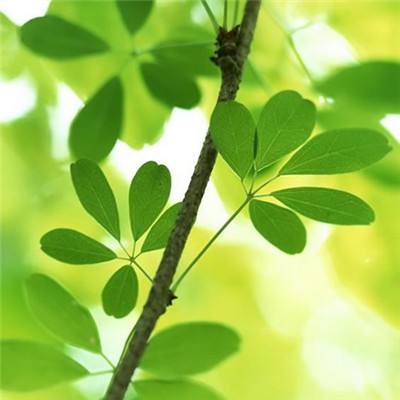 乐鱼官方app下载