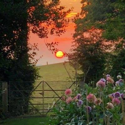 kok全站app官网登录入口