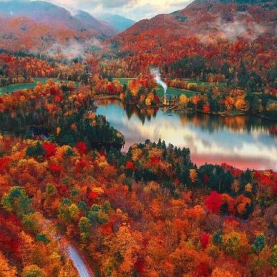 澳门一码一肖一特一中手机app下载