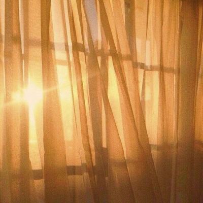 单机的打鱼游戏下载手机版