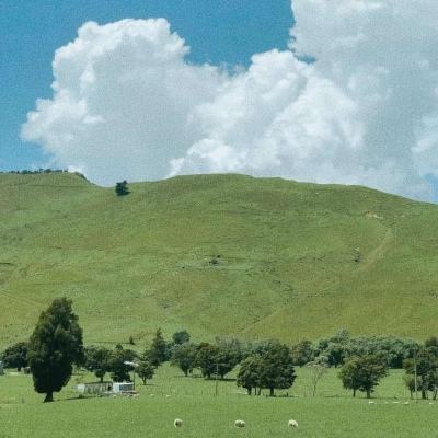 赢三张免费游戏