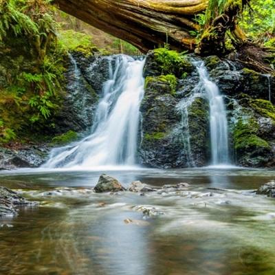 棋牌游戏手机app下载