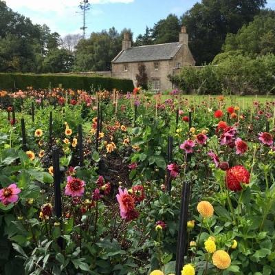 娱乐宝官网下载手机版