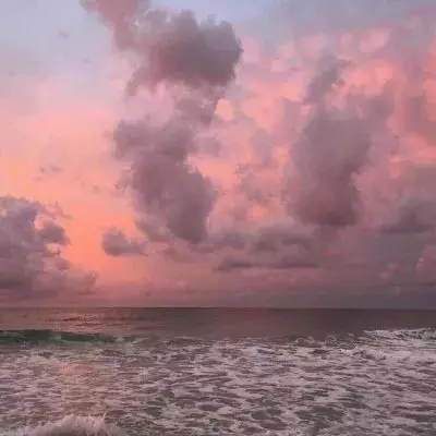 42982金牛网论坛