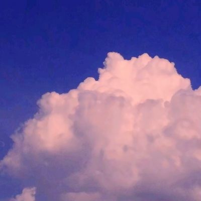 kaiyun官方网app下载app