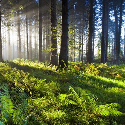 welcome 彩神8的最新网址