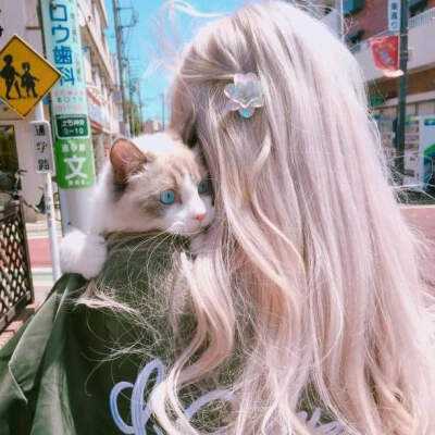 kaiyun体育最新版安装