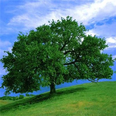 金沙乐娱场app下载app下载