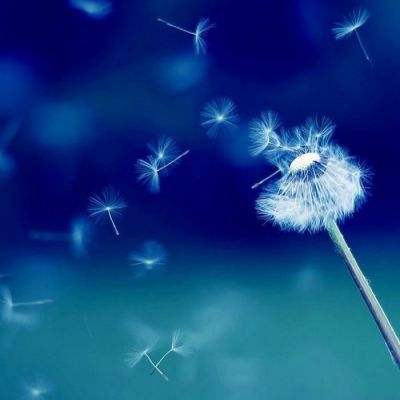 BOB体育综合入口app下载截图