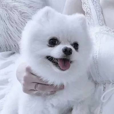 2023年新澳门今晚开特马手机app下载