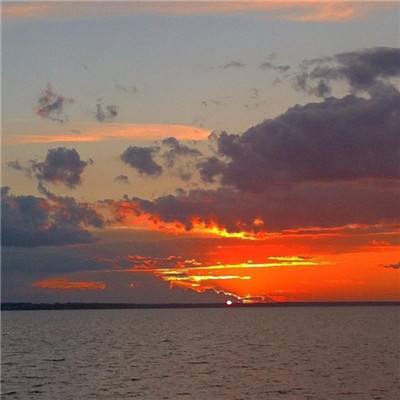 乐鱼app官网正式版下载下载手机版截图