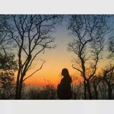 亚虎娱乐app下载下载手机版