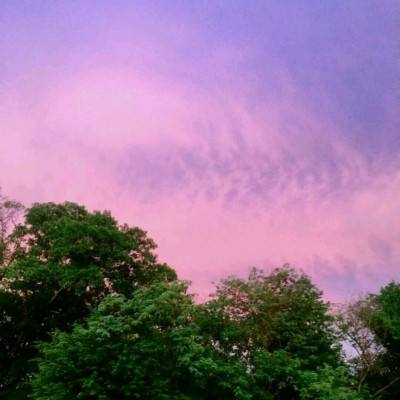 金沙官方登录入口