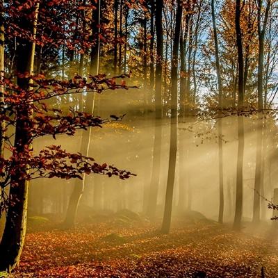 南宫体育app下载安装下载手机版