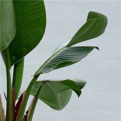 Bsport体育最新版