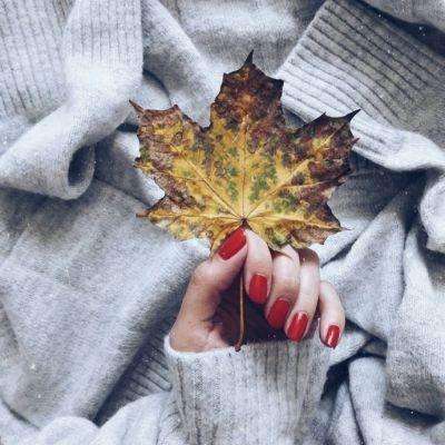 双赢彩票下载手机版