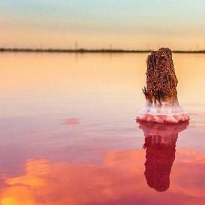 大发dafa888app下载