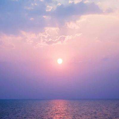 万博·体育手机app下载