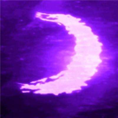 熊猫娱乐app手机app下载