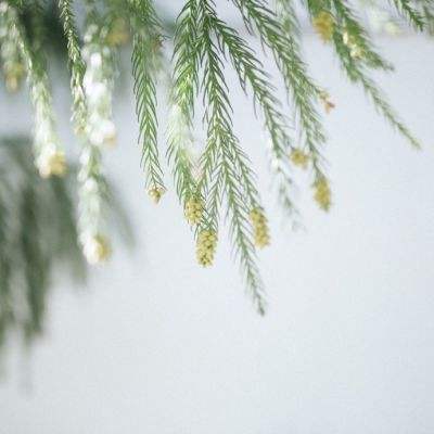 万博manbetx登录手机app下载