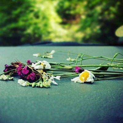 亿博手机端app下载安装