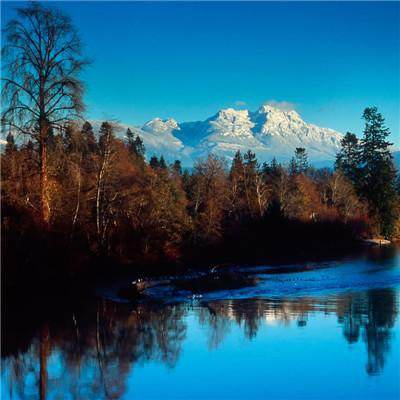 竞赛足球app下载