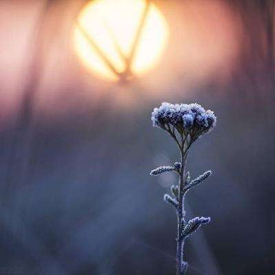 手机买彩票app下载下载手机版