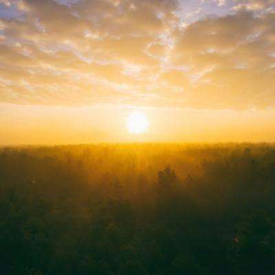 开云·体育(kaiyun)