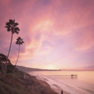 澳门威斯尼斯WNS888入口手机app下载