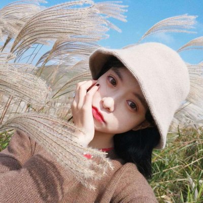 半岛·手机网页版