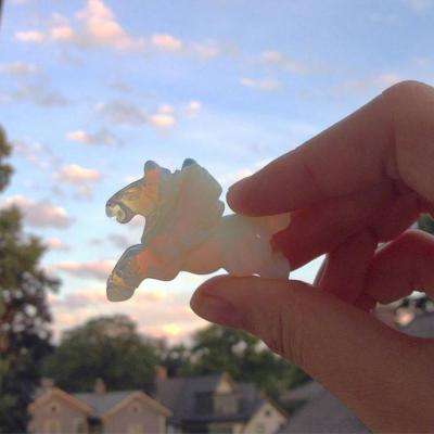 爱游戏全站APP入口苹果版下载手机版截图