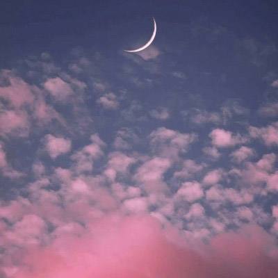 澳门天天免费资料大全下载下载手机版